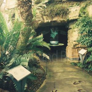 “taken before 2009”