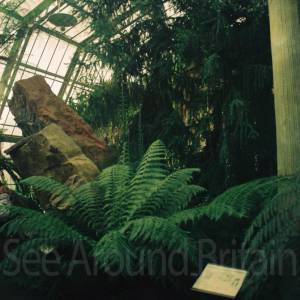 “taken before 2009”