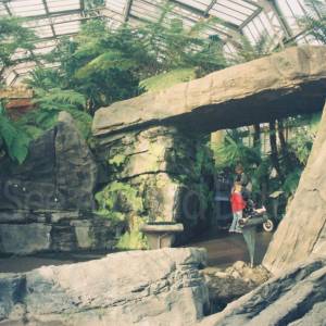 “taken before 2009”