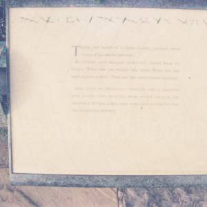 “taken before 2009”