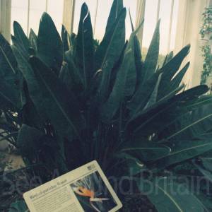 “taken before 2009”