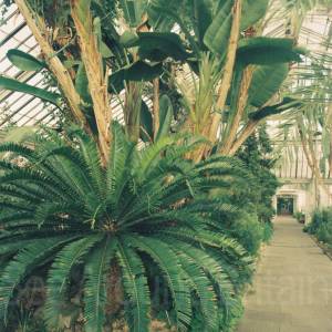 “taken before 2009”