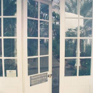 “taken before 2009”