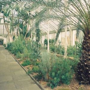 “taken before 2009”