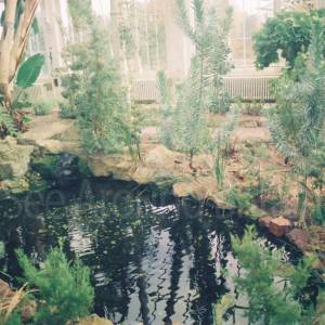 “taken before 2009”