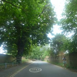 Route from Kew Green to Brentford Gate and car park