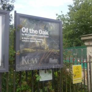 Route from Kew Green to Brentford Gate and car park