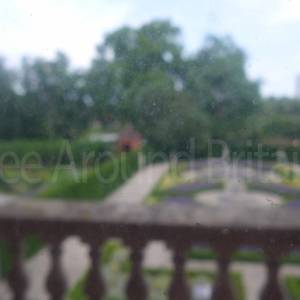from Kew Palace