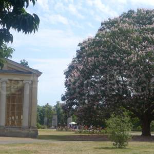 The Orangery