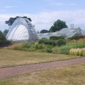 Davies Alpine House