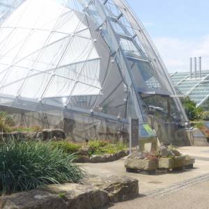 Davies Alpine House