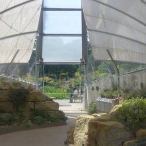 Davies Alpine House