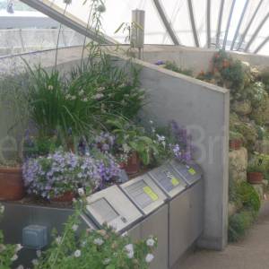 Davies Alpine House