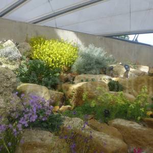 Davies Alpine House