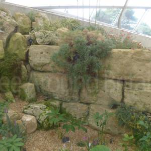 Davies Alpine House