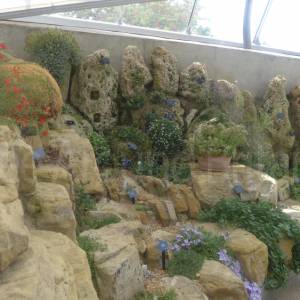 Davies Alpine House