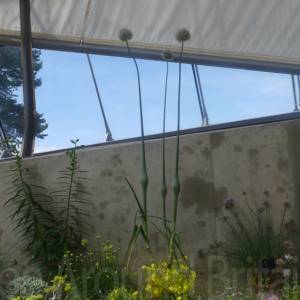 Davies Alpine House