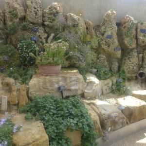 Davies Alpine House