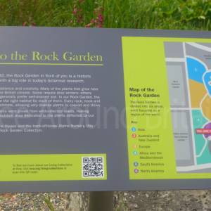 The Rock Garden
