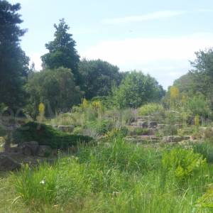 The Rock Garden