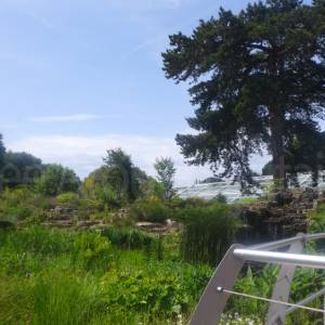 The Rock Garden