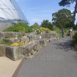 The Rock Garden