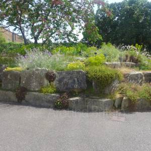 The Rock Garden