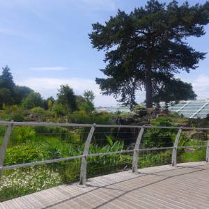 The Rock Garden