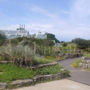 The Rock Garden
