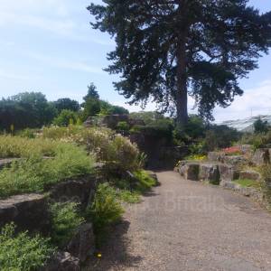 The Rock Garden