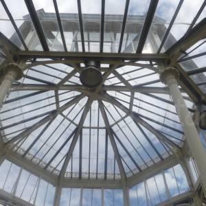 The Temperate House