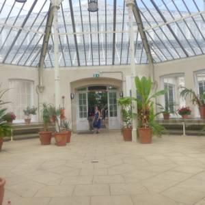 The Temperate House