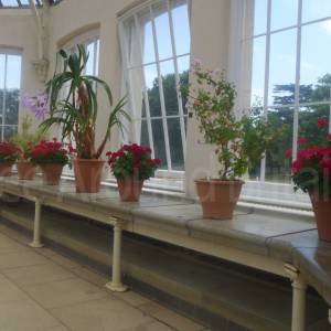 The Temperate House