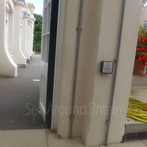 The Temperate House