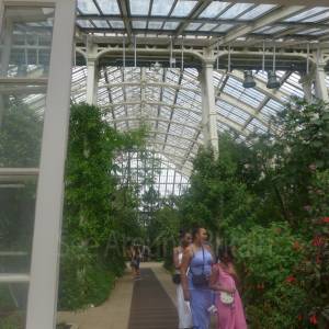 The Temperate House