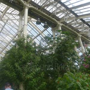 The Temperate House