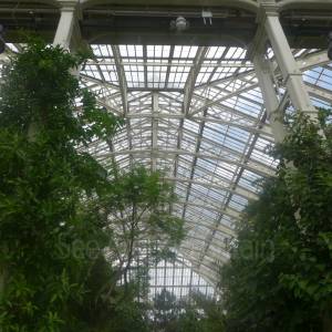 The Temperate House