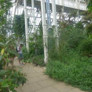 The Temperate House