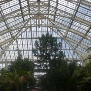 The Temperate House