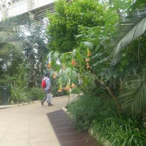 The Temperate House