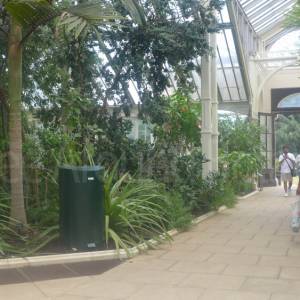 The Temperate House