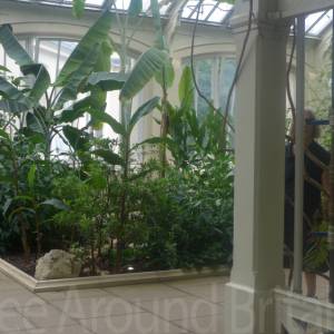 The Temperate House