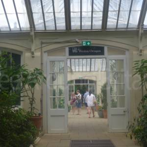 The Temperate House