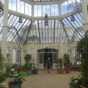 The Temperate House