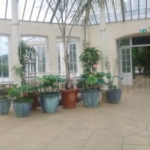 The Temperate House