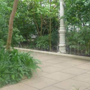 The Temperate House