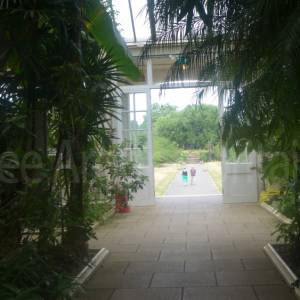 The Temperate House