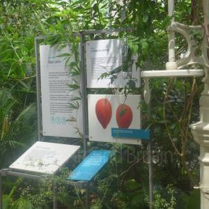 The Temperate House