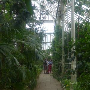The Temperate House