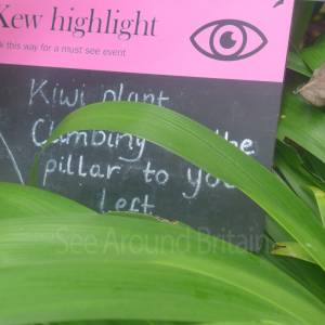 The Temperate House